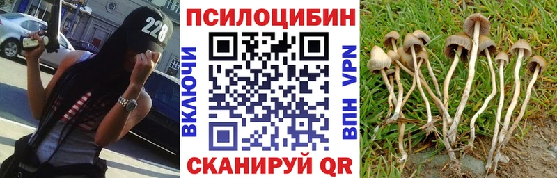 Псилоцибиновые грибы мухоморы  Губаха 