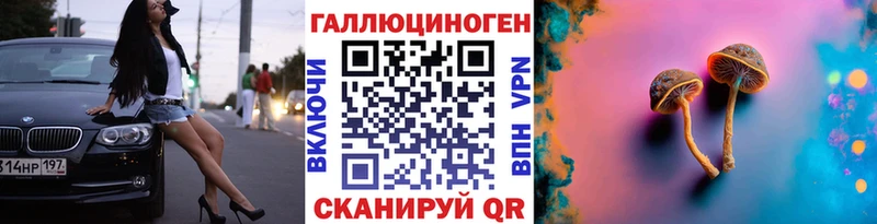 Псилоцибиновые грибы прущие грибы Губаха